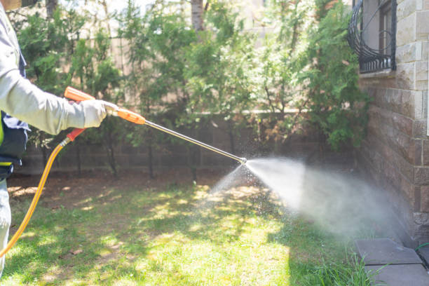 Seasonal Pest Control in Key Vista, FL